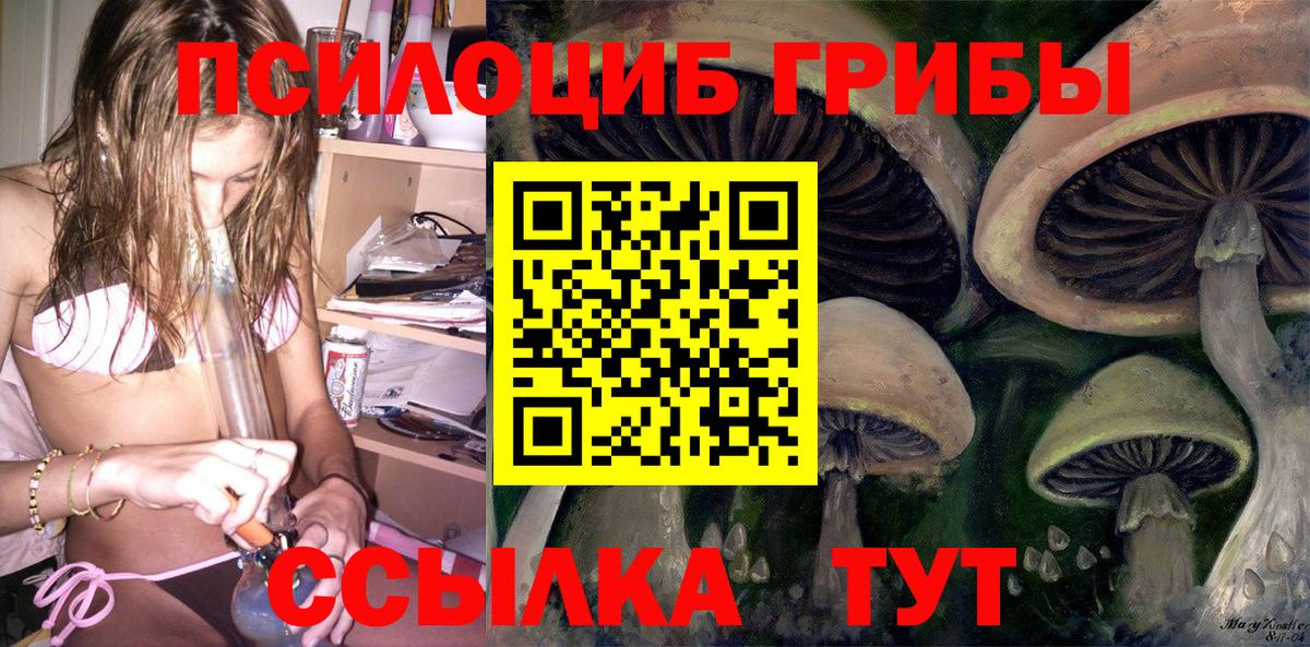 Псилоцибиновые грибы Psilocybine cubensis  Вход с VPN  Богородск 