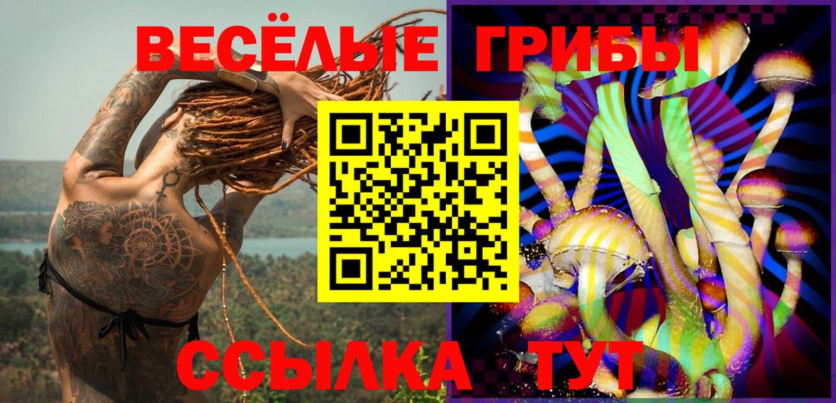 Псилоцибиновые грибы Psilocybe Богородск